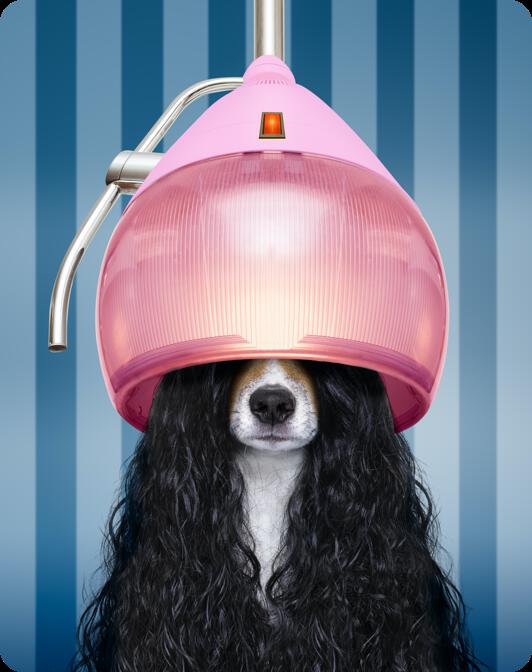 Sacred Elements Skin + Reiki