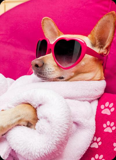 Sacred Elements Skin + Reiki